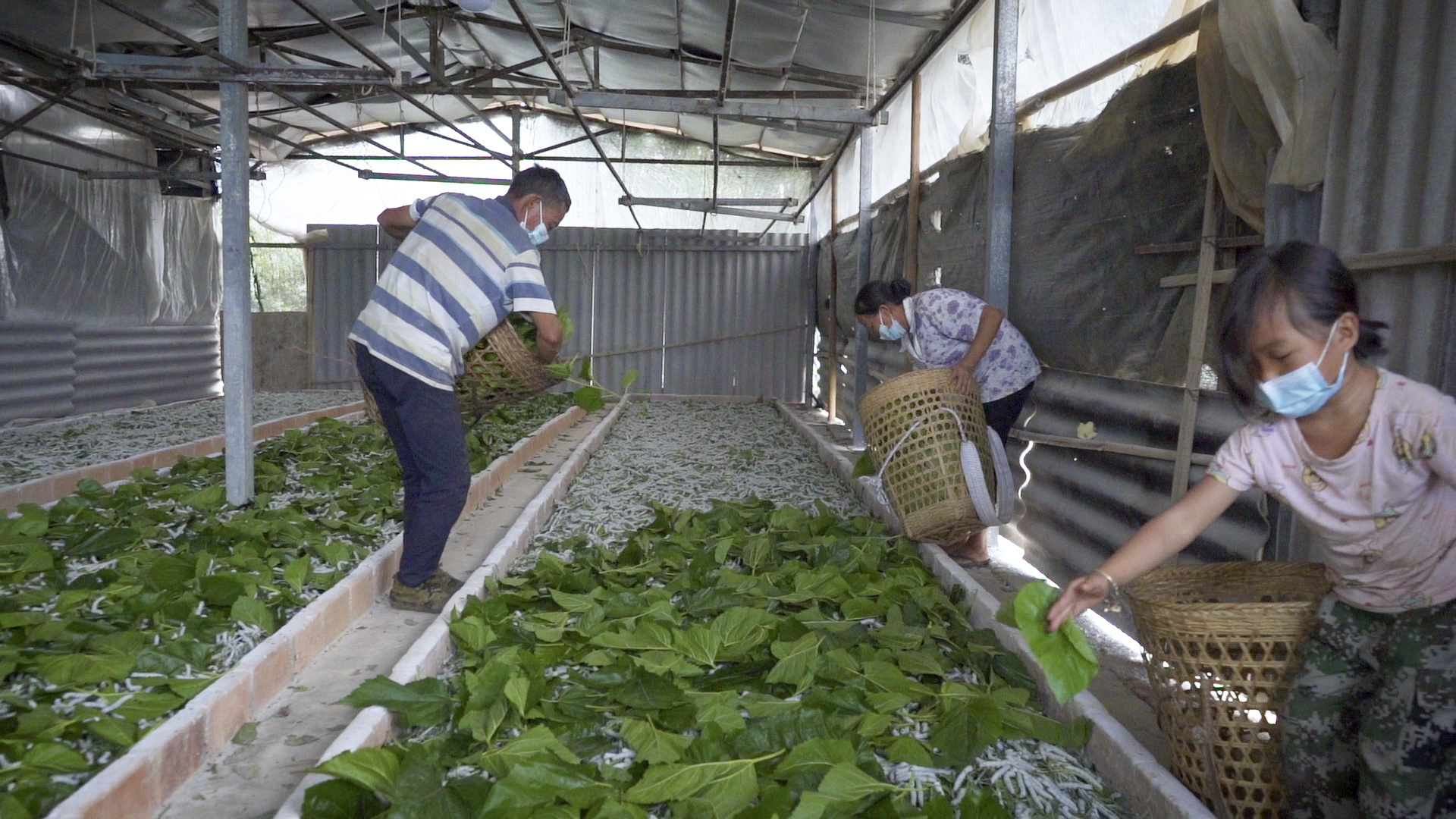 1667810437937667.jpg 微信图片_20221107141544.jpg