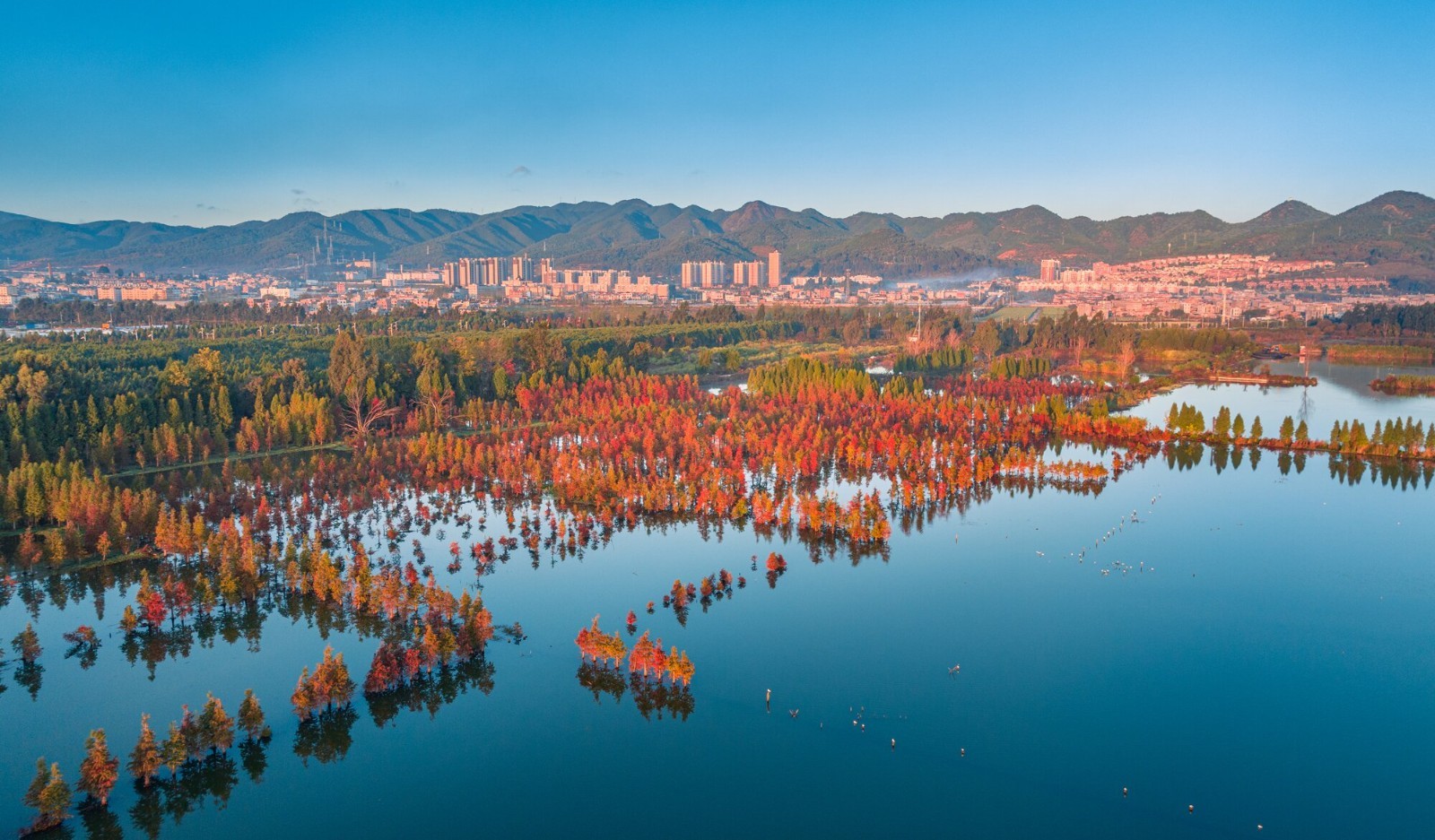 【图1】云南昆明南滇池国家湿地公园初冬美如画。 宋光旭摄_proc.jpg