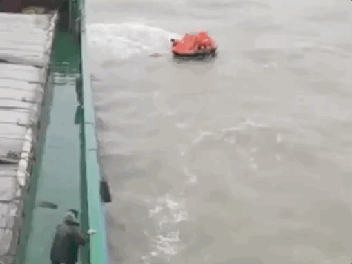 1669938510704005.gif 640-1.gif