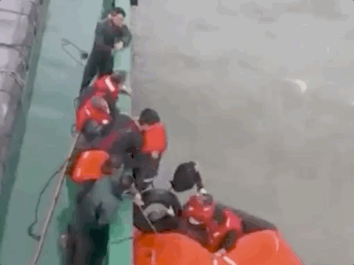 1669938524592125.gif 640-2.gif