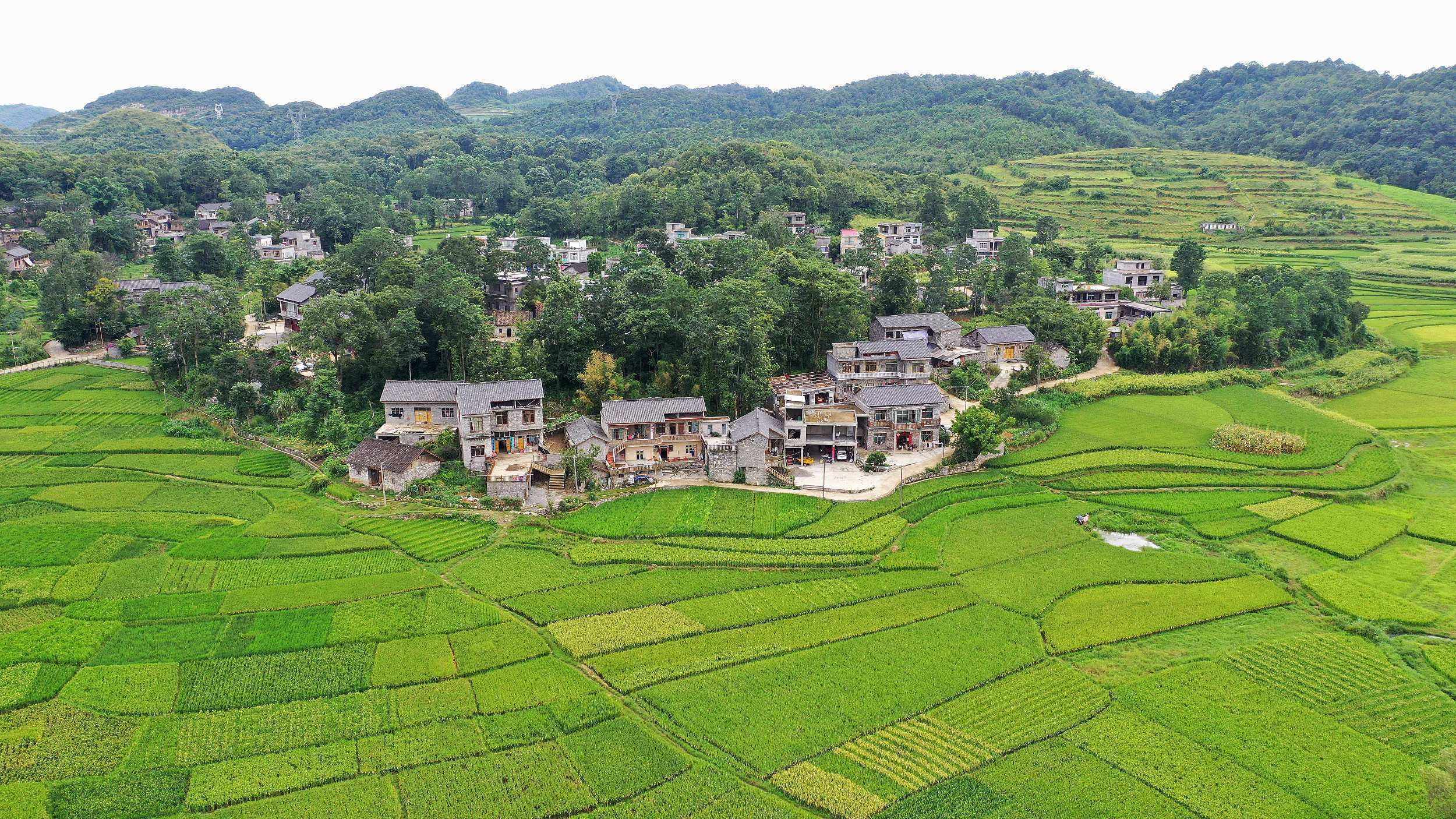 贵州:农村1户1处宅基地 最高面积不超200平方米-人民数字联播网
