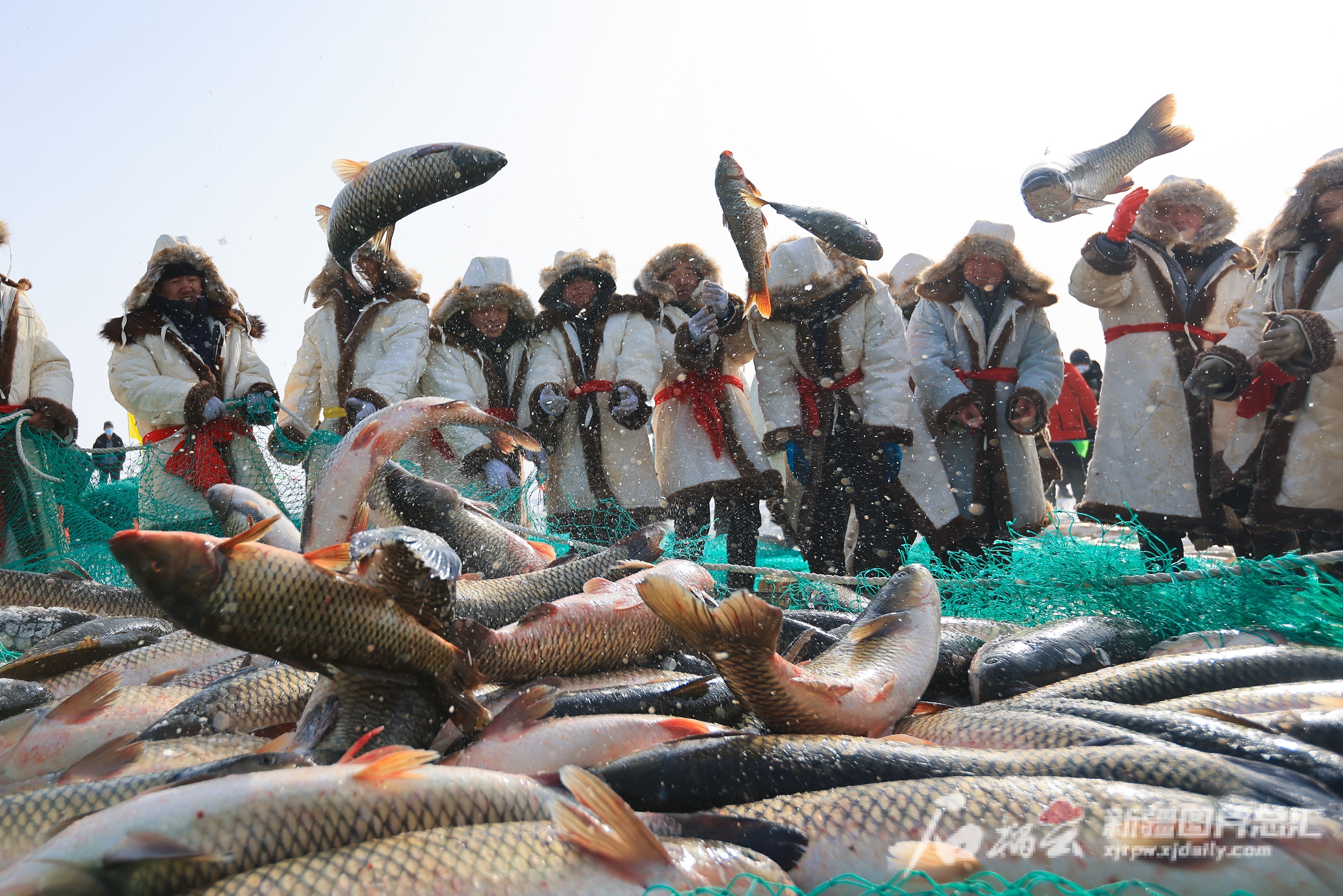 新疆博斯腾湖：人欢鱼跃冬捕忙