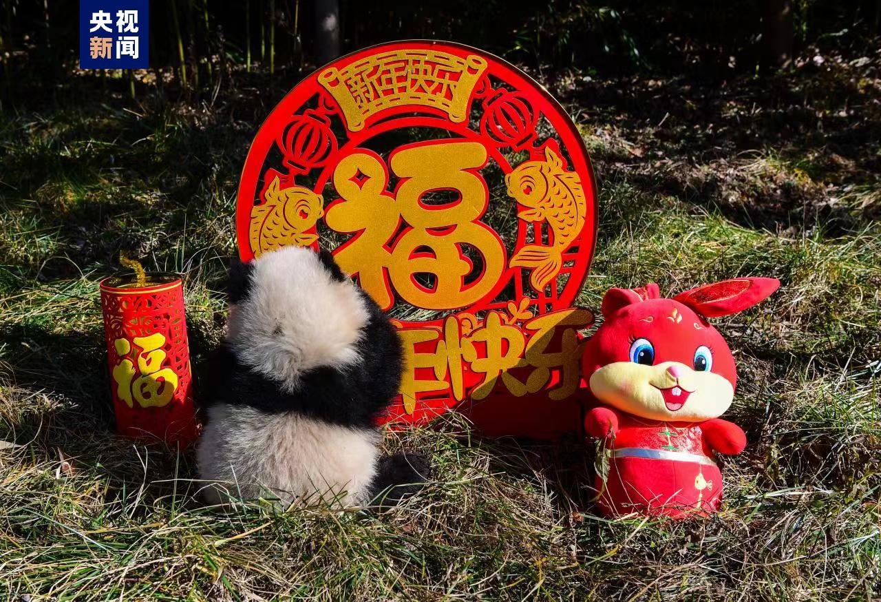 1674035188338876.jpeg WechatIMG348.jpeg