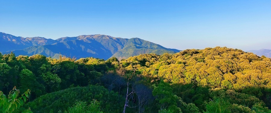 1675822410666912.jpg 远眺龙陵小黑山保护 蔡双发摄.jpg