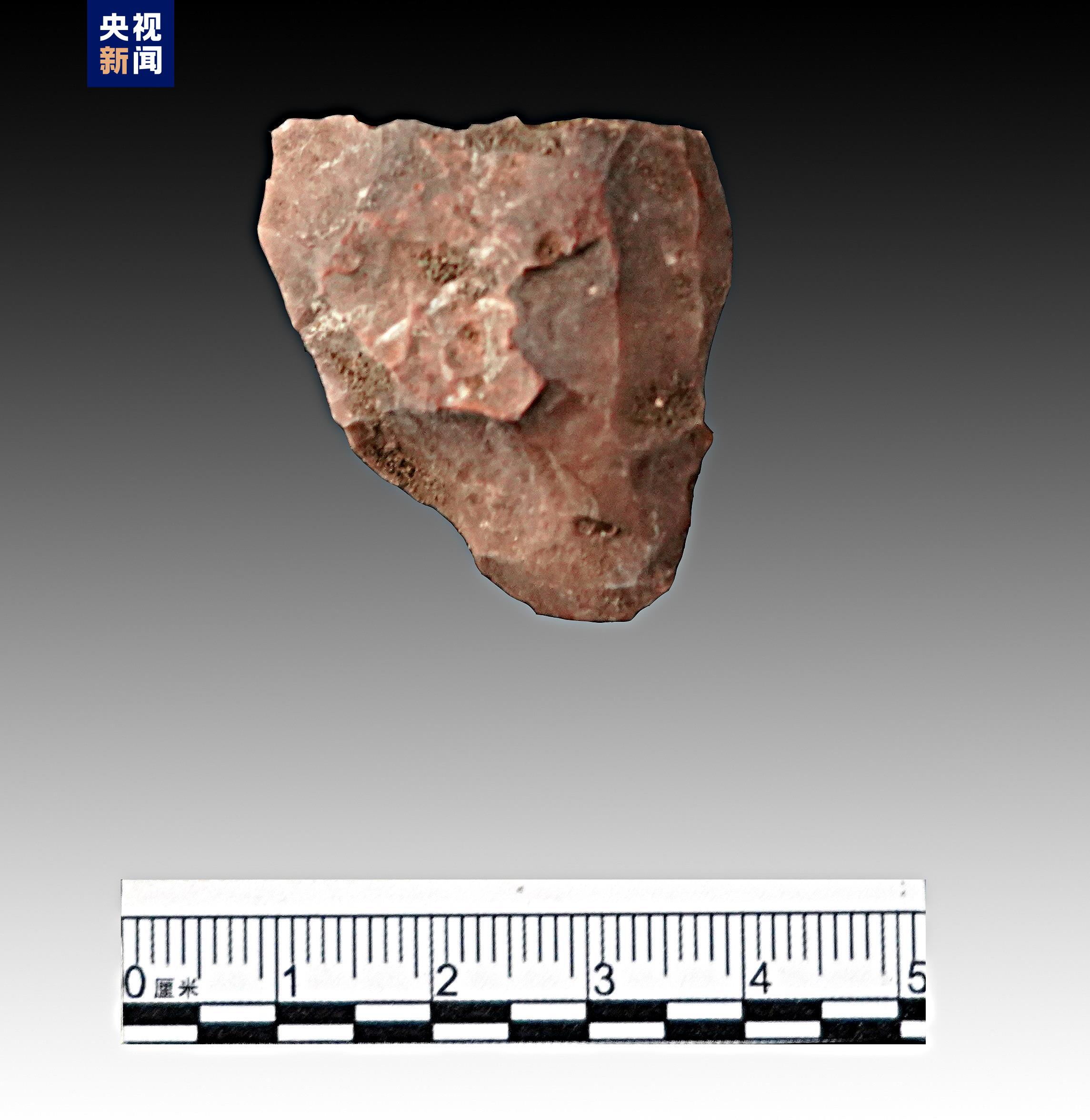 1676439878530397.jpeg 3.jpeg