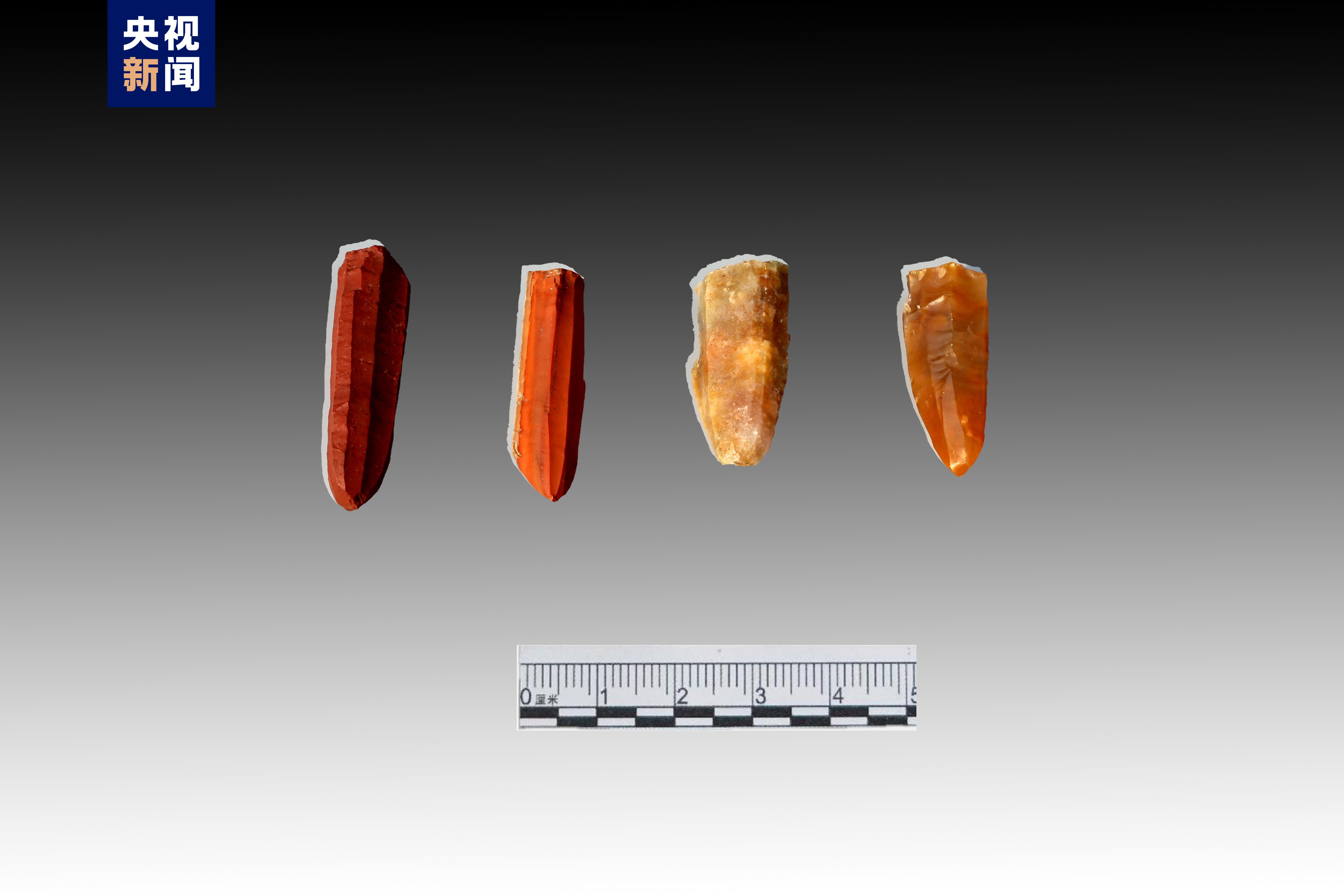 1676439889390003.jpeg 4.jpeg