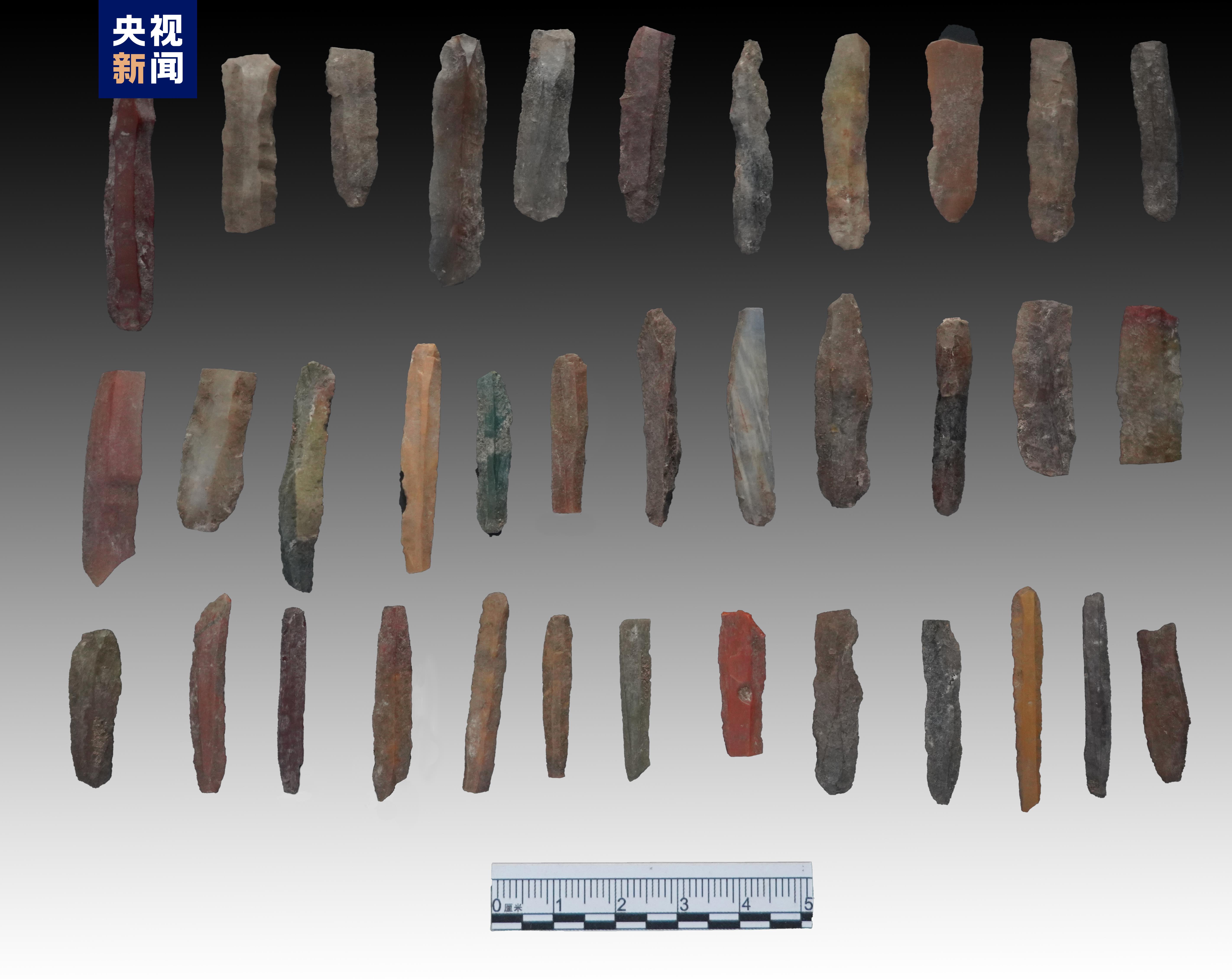 1676439914288399.jpeg 5.jpeg