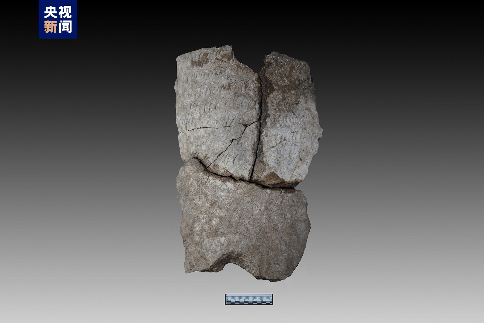 1676439936977318.jpeg 7.jpeg