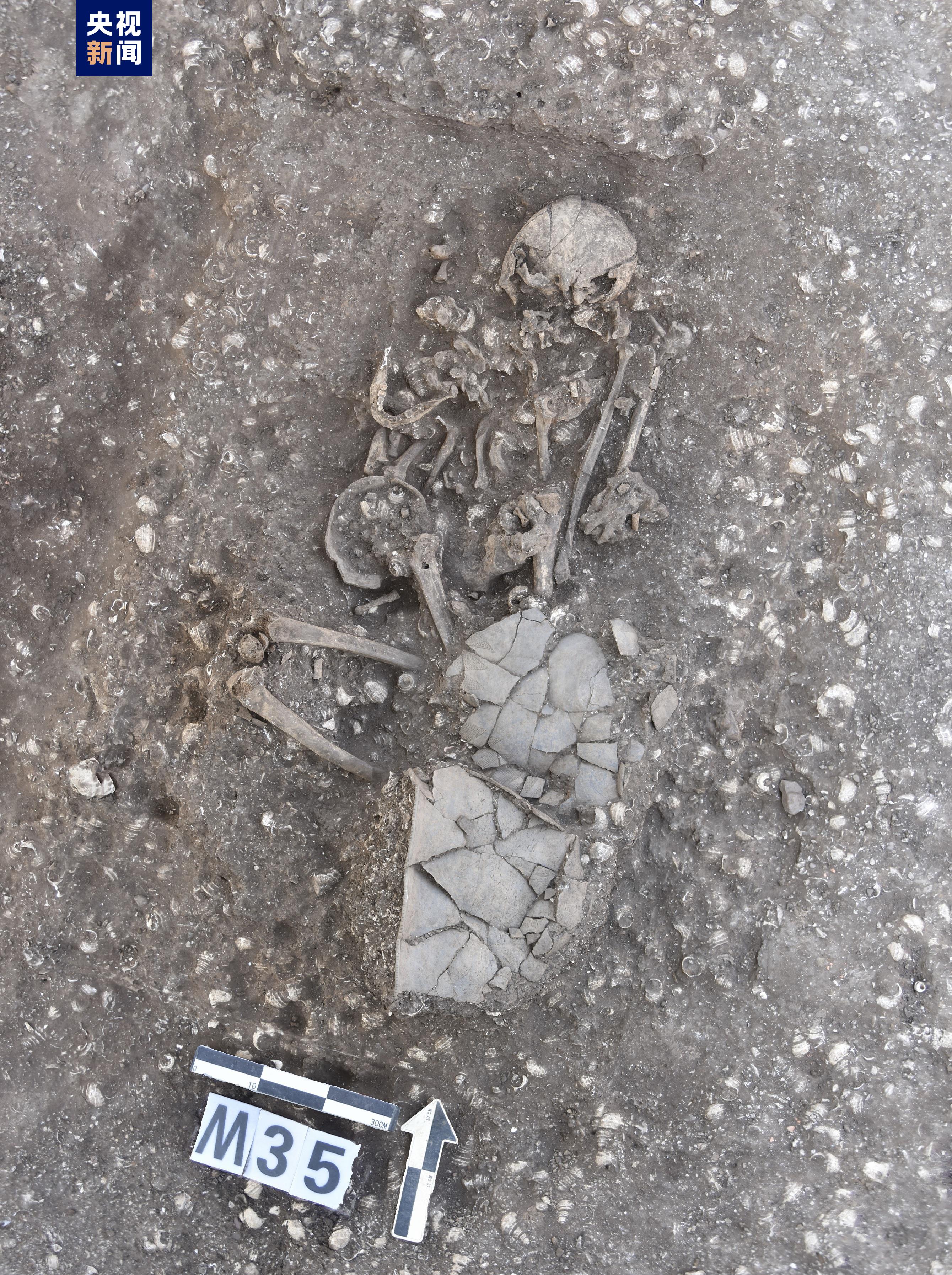 1676439984652963.jpeg 10.jpeg