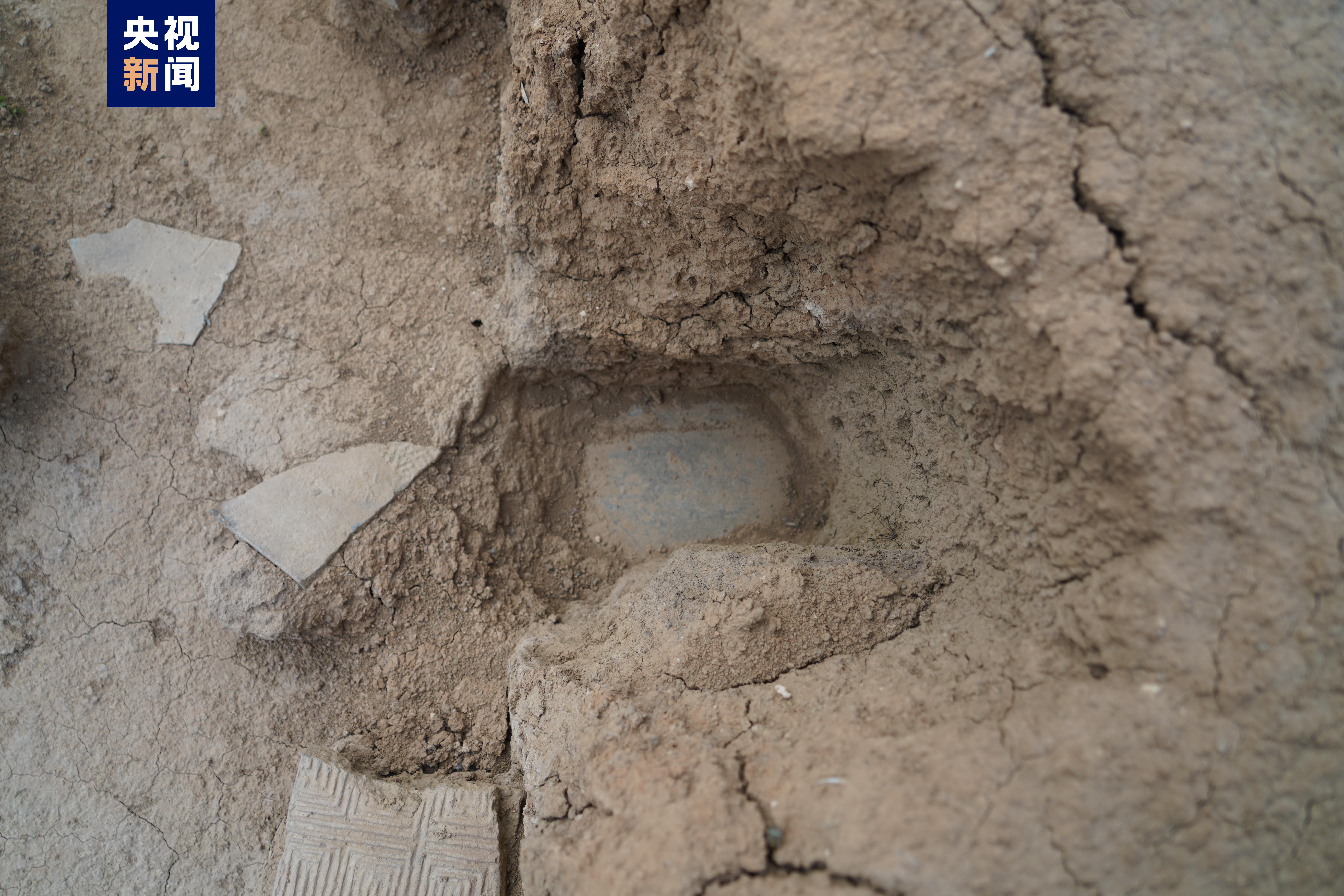 1676440089160891.jpeg 19.jpeg