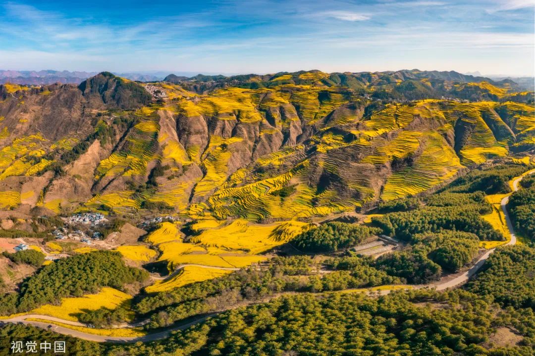 1676623417410359.jpg 4.jpg