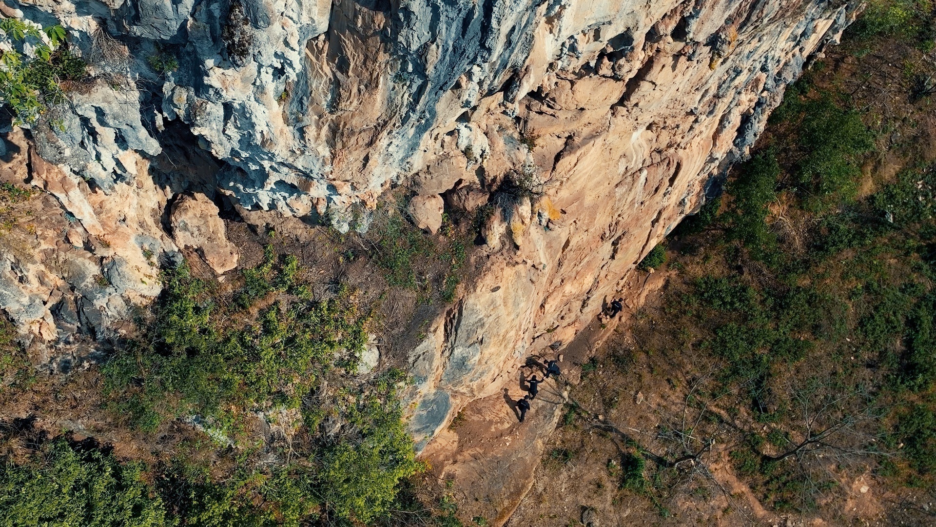 1676560774155777.png 1_1.11.1.png