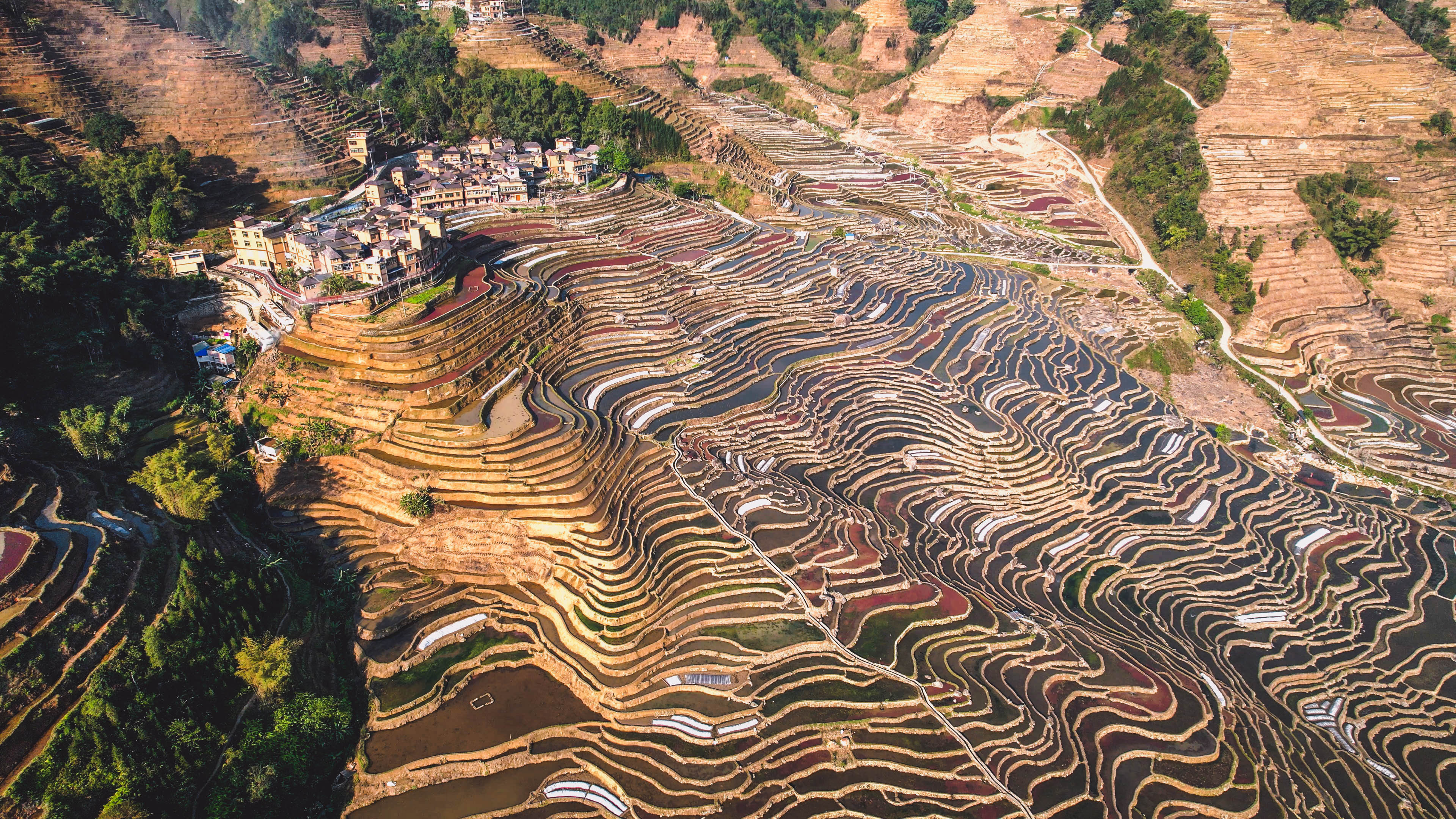 万亩梯田育秧忙。马冬师 施卓慧摄 (1).jpg?x-oss-process=style/w10