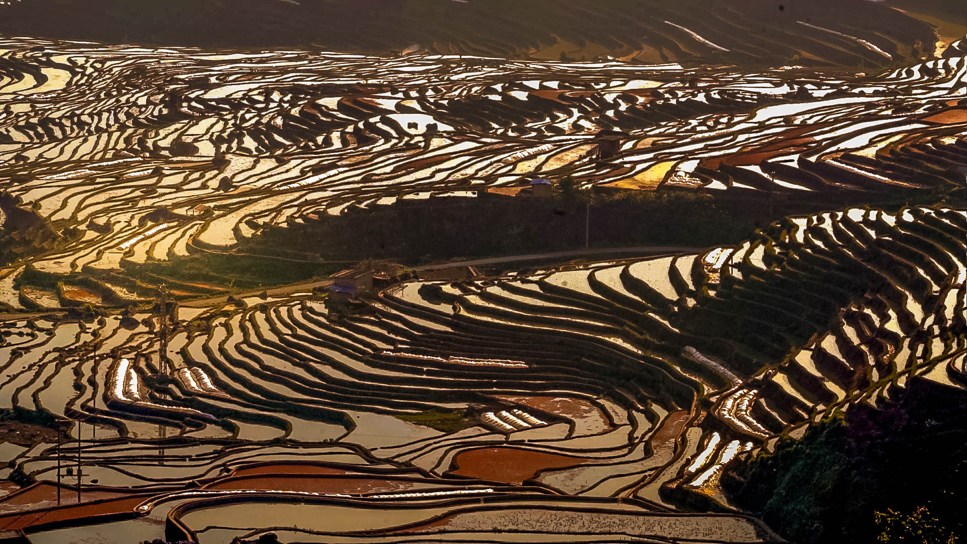 万亩梯田育秧忙。马冬师 施卓慧摄 (3).jpg?x-oss-process=style/w10