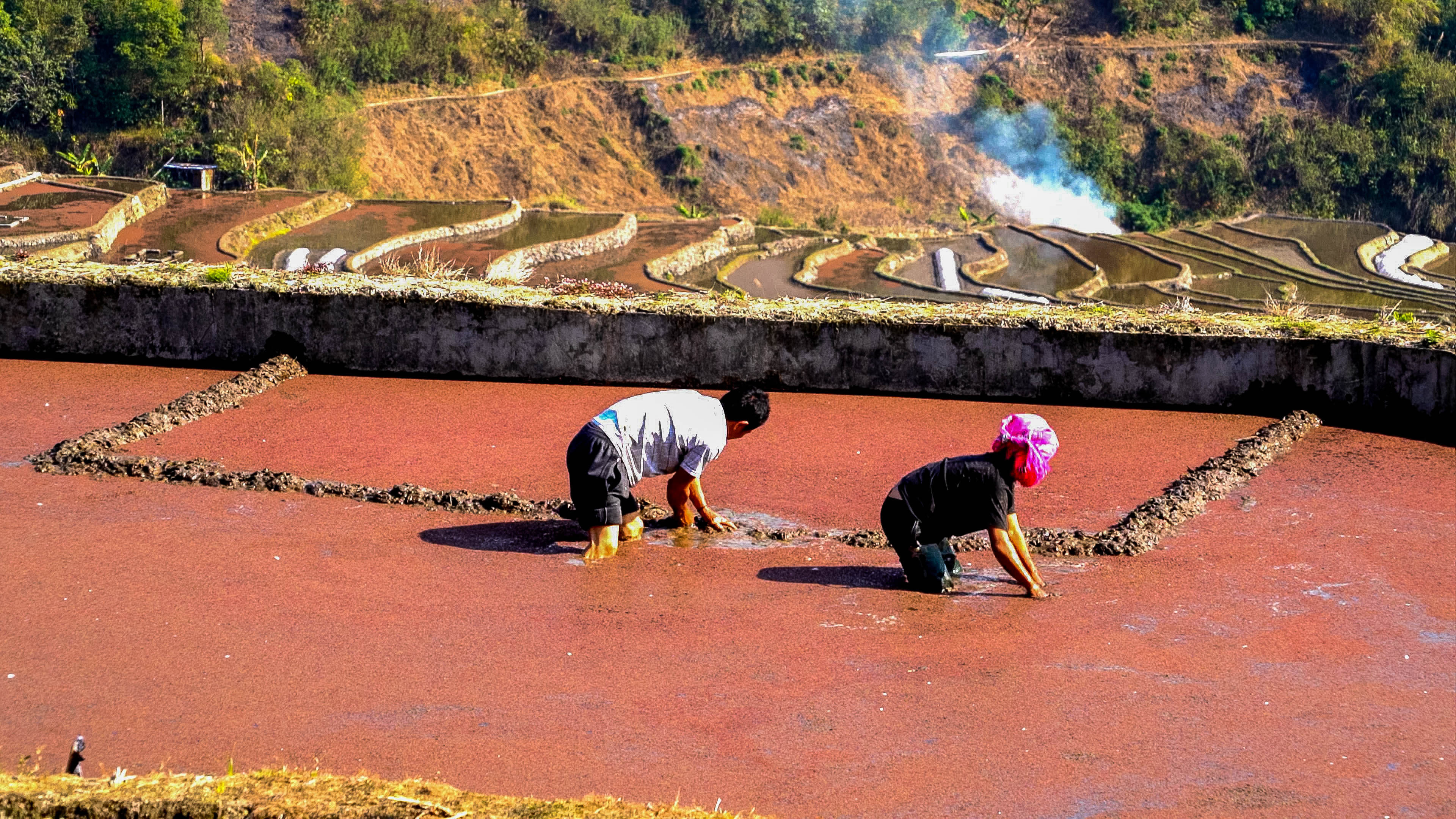 万亩梯田育秧忙。马冬师 施卓慧摄 (10).jpg?x-oss-process=style/w10