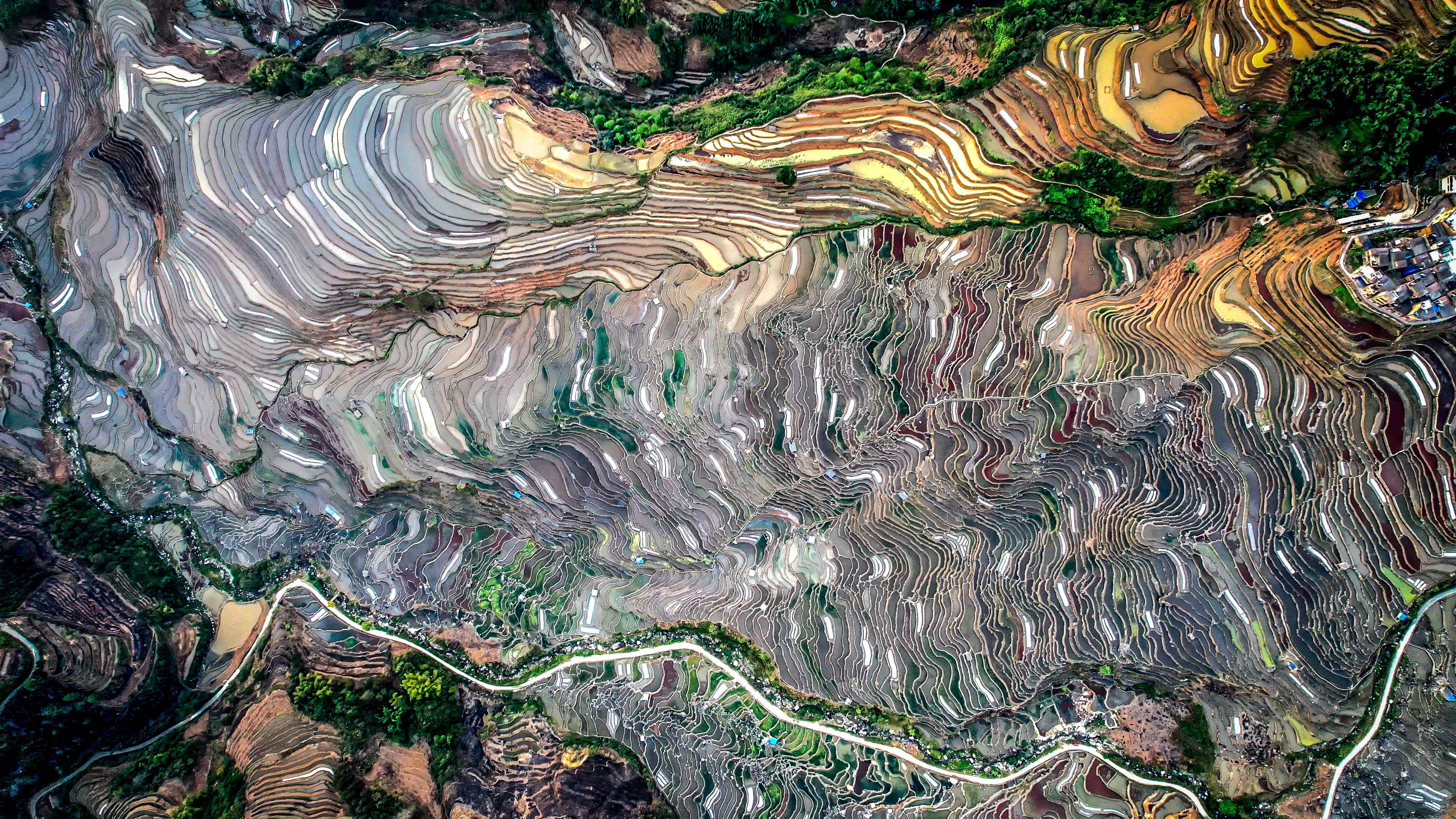 万亩梯田育秧忙。马冬师 施卓慧摄 (6).jpg?x-oss-process=style/w10