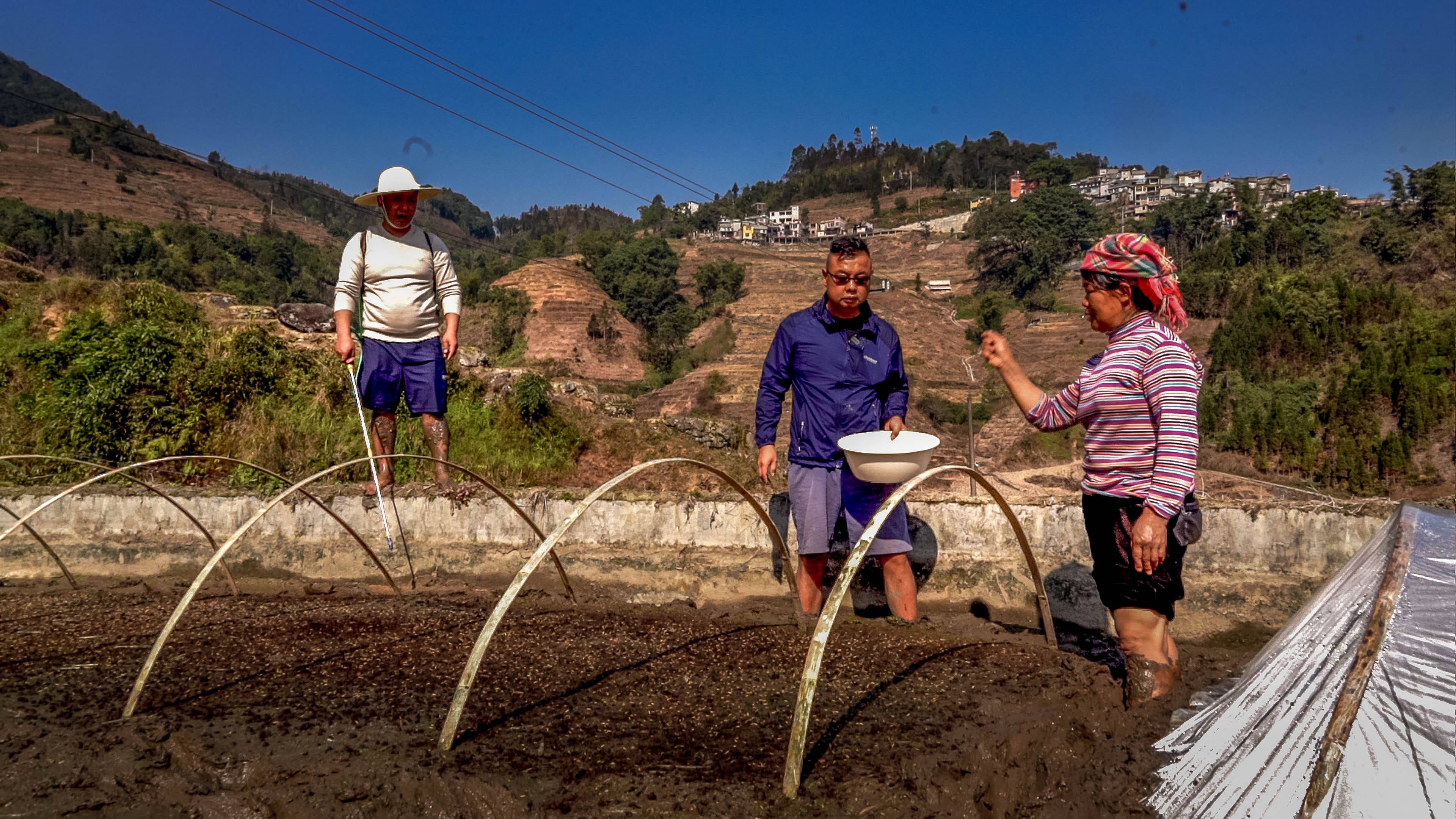 万亩梯田育秧忙。马冬师 施卓慧摄 (12).jpg?x-oss-process=style/w10