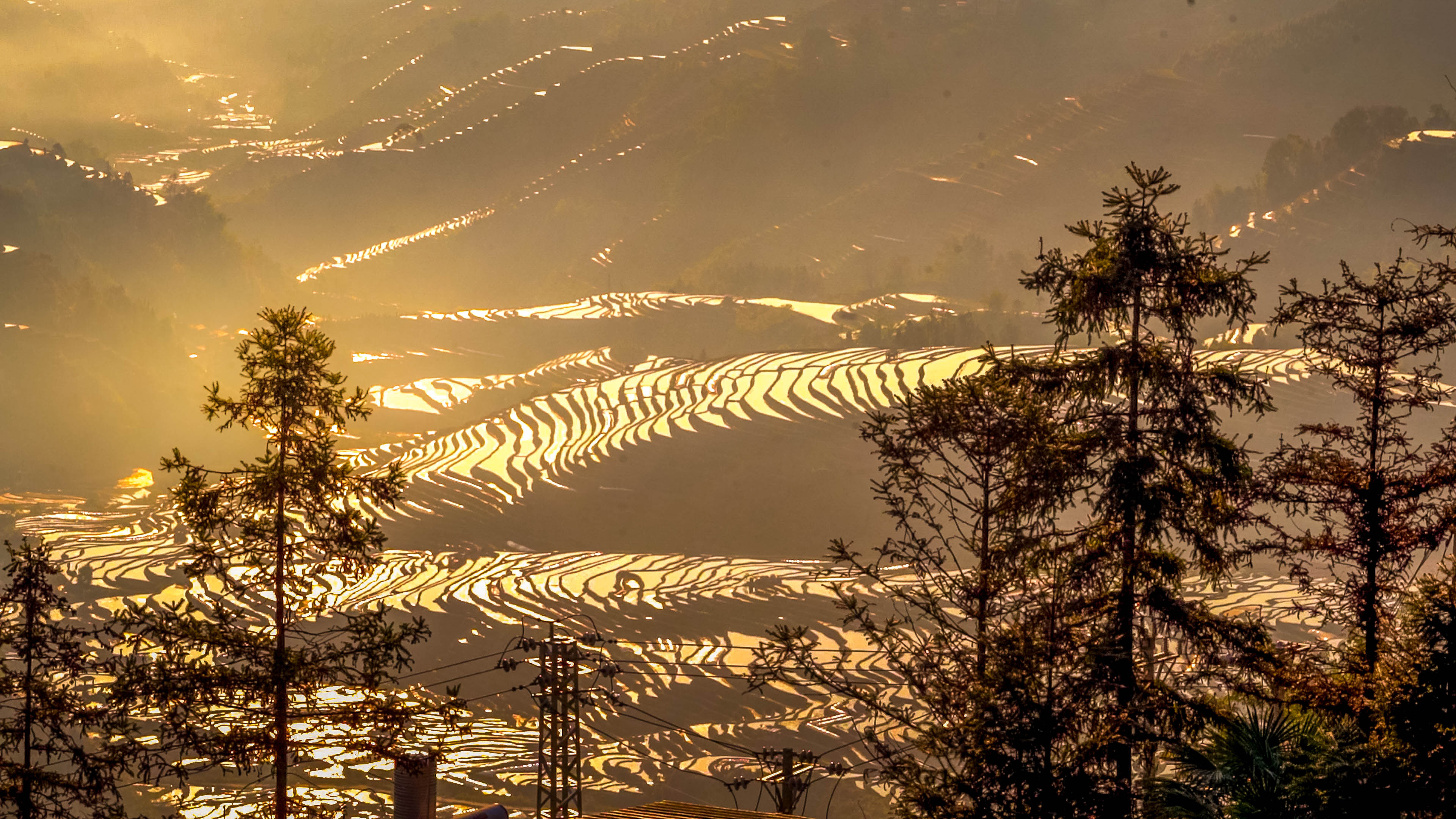 万亩梯田育秧忙。马冬师 施卓慧摄 (8).jpg?x-oss-process=style/w10