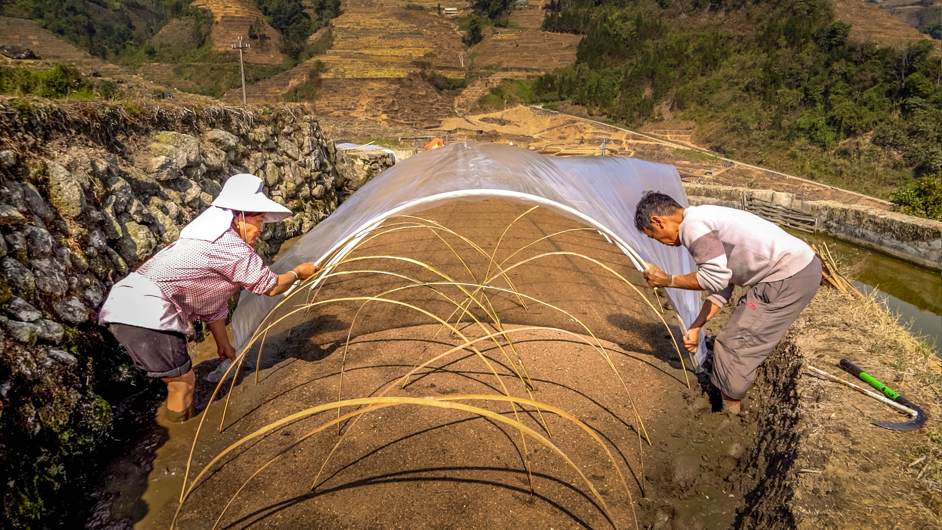 万亩梯田育秧忙。马冬师 施卓慧摄 (13).jpg?x-oss-process=style/w10