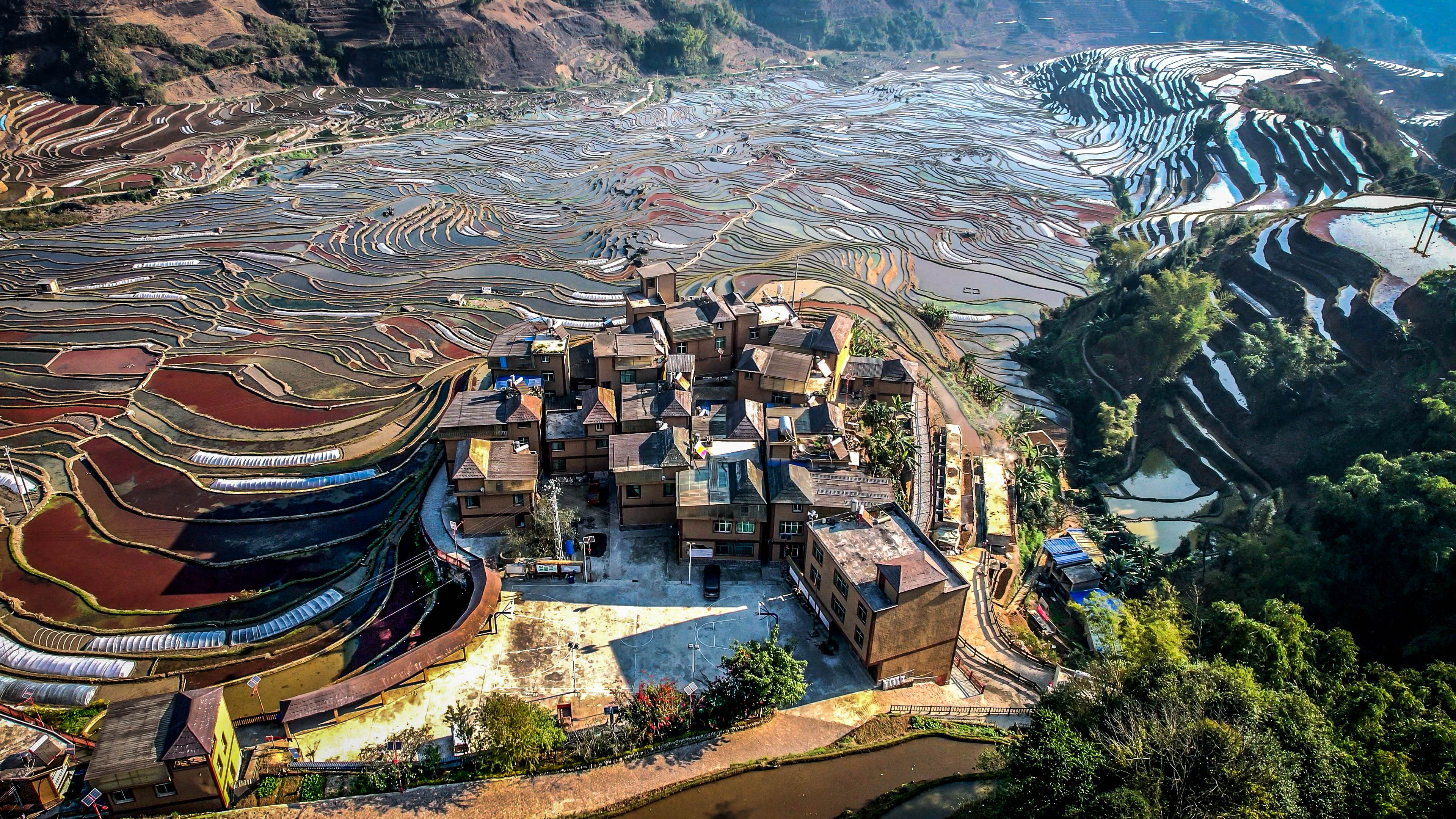 调色盘又出大片云南绿春万亩梯田美如画