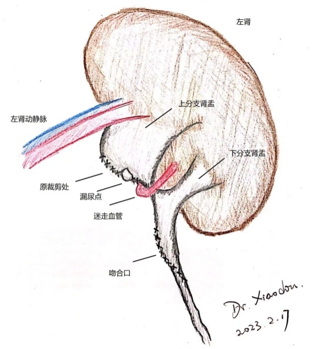 1676994605449316.jpg 图片1.jpg
