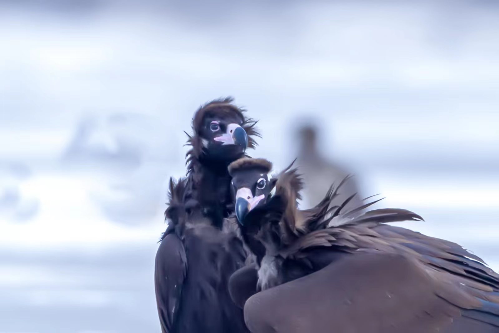 1677317794503584.jpg 236d4cf5ab220db050911f345c1666b.jpg