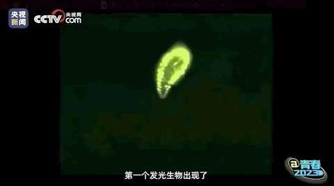 微信图片_20230303170815.gif