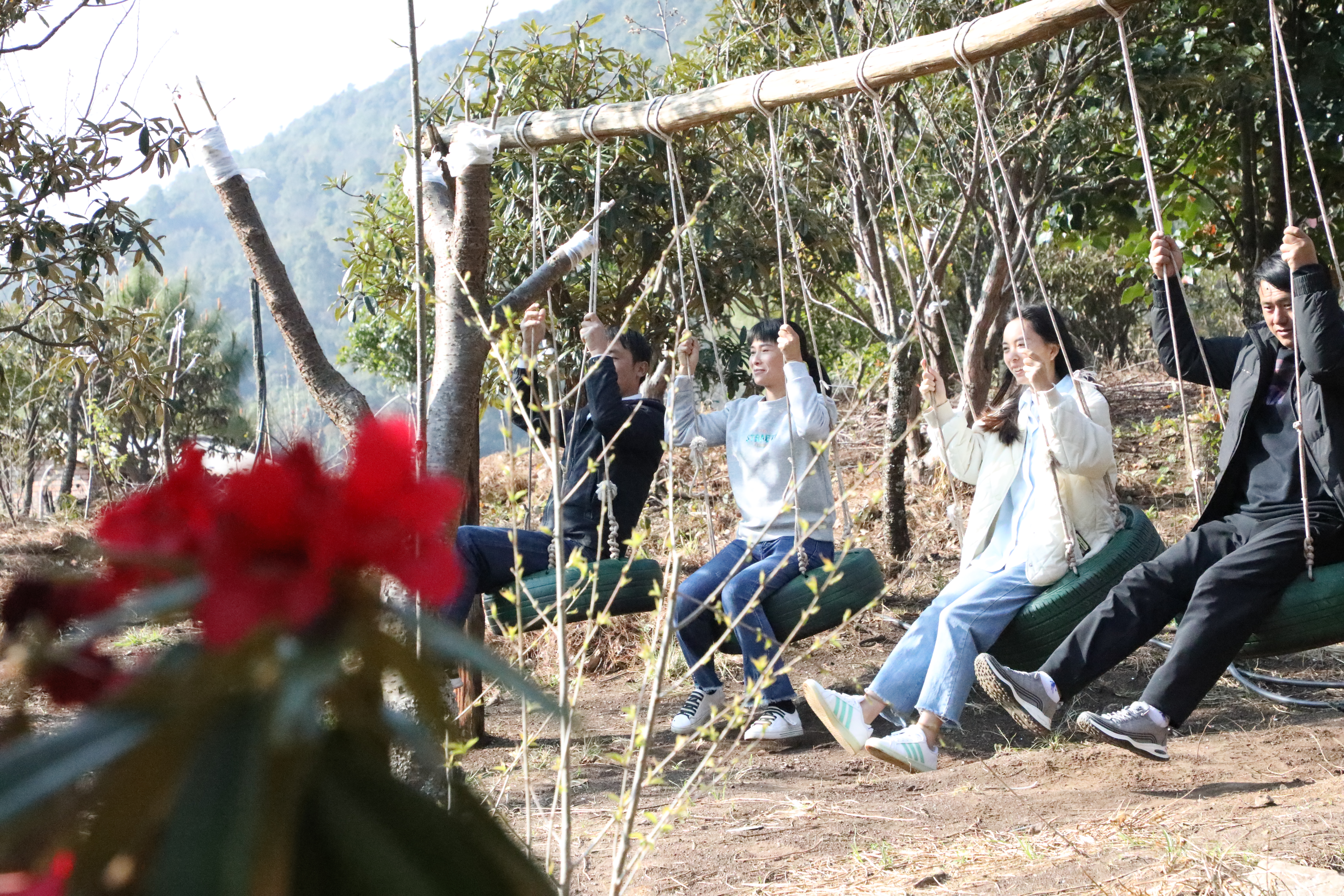 1678178660158535.jpg 去杜鹃花开的地方 景东县融媒体中心供图 (3).JPG