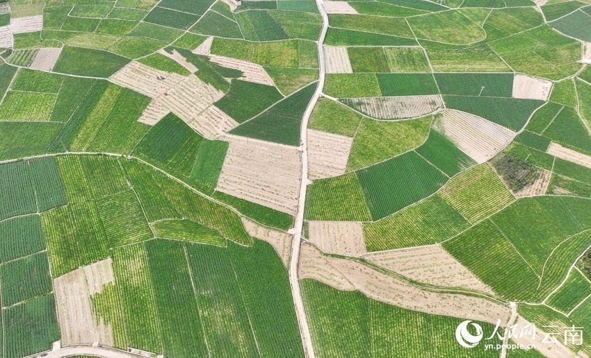 1678173125924994.png 微信图片_20230307150945.png