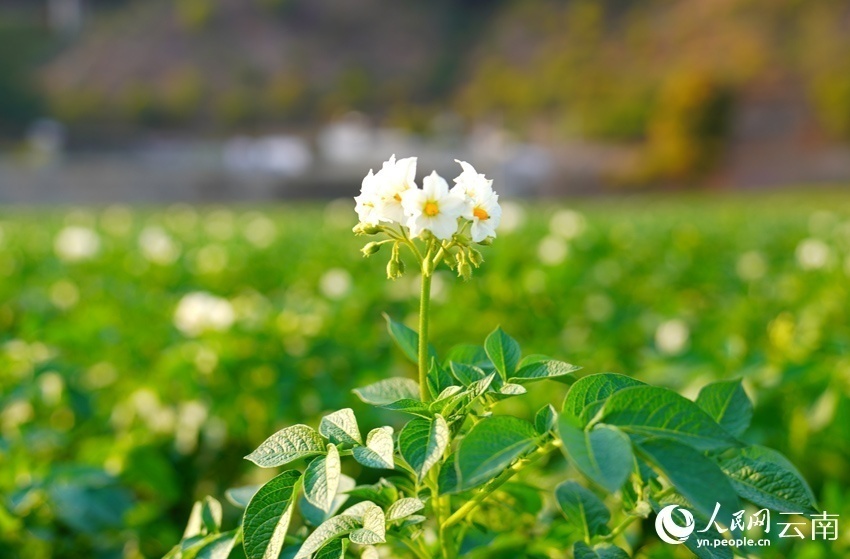 1678173159153614.png 微信图片_20230307150956.png