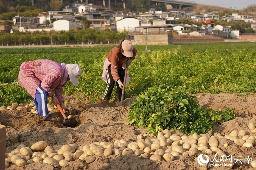 1678173175799022.png 微信图片_20230307151003.png