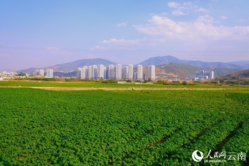 1678173193711835.png 微信图片_20230307151038.png