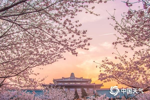 1678360425406851.jpg 20230309181800781.jpg