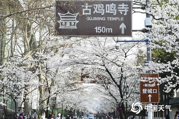 1678360437578487.jpg 20230309181800872.jpg