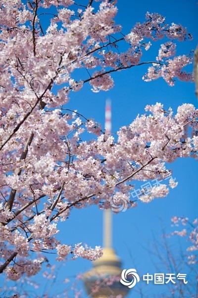 1678360446965721.jpg 20230309181800956.jpg