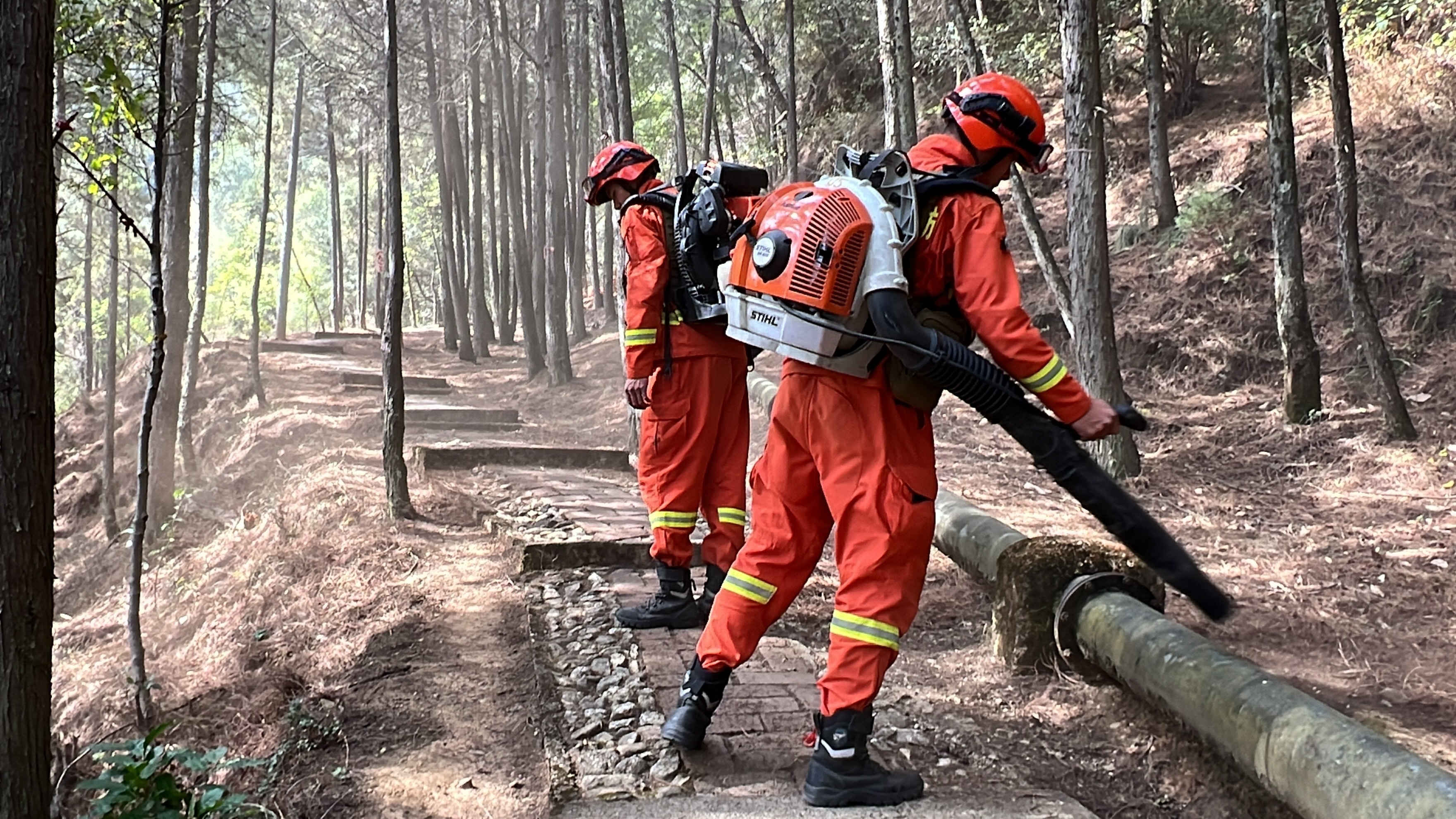 1678751272143930.jpg 5清理道理两侧枯枝落叶.JPG