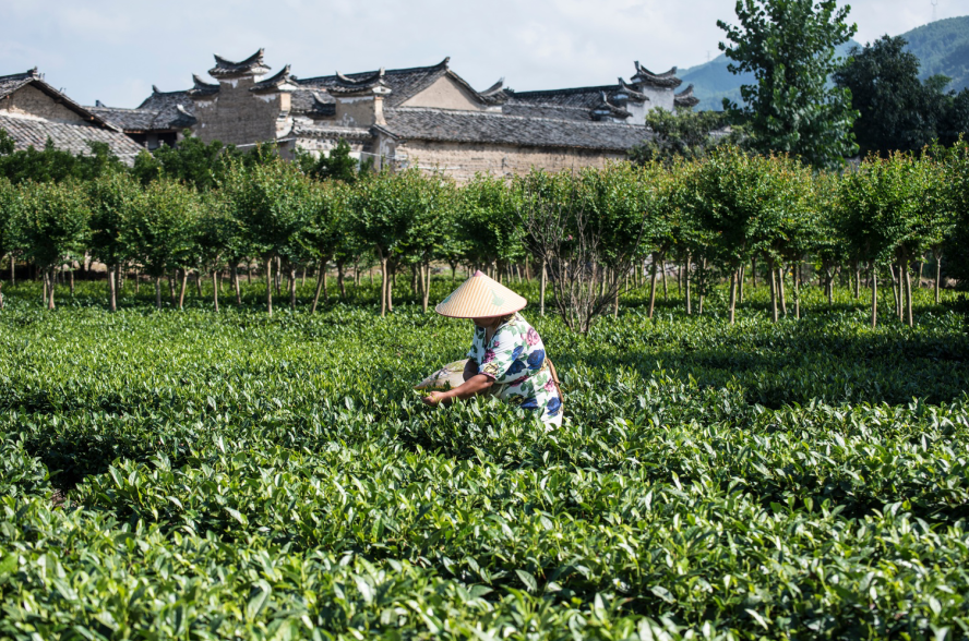 1678930238324942.png image.png