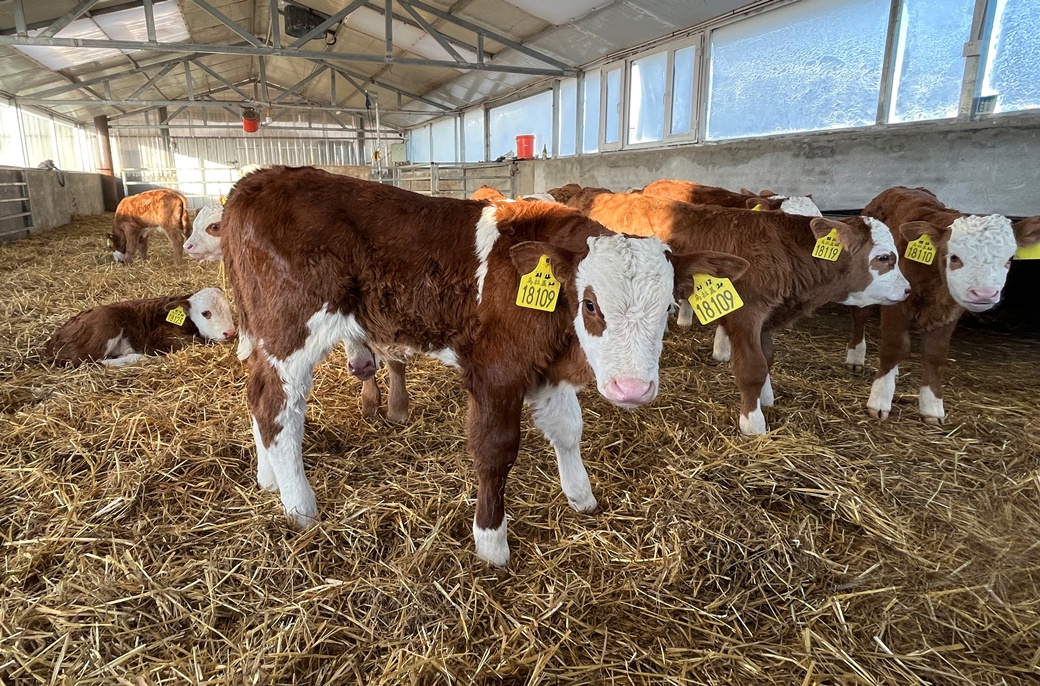 1679319210295799.png 4b3ed305596b4e44e72e14a447e4d7b.png