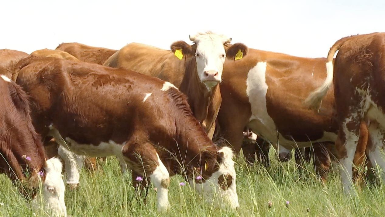 1679319299478943.png 2f09adc7b90e3a3e366b262227e08b4.png