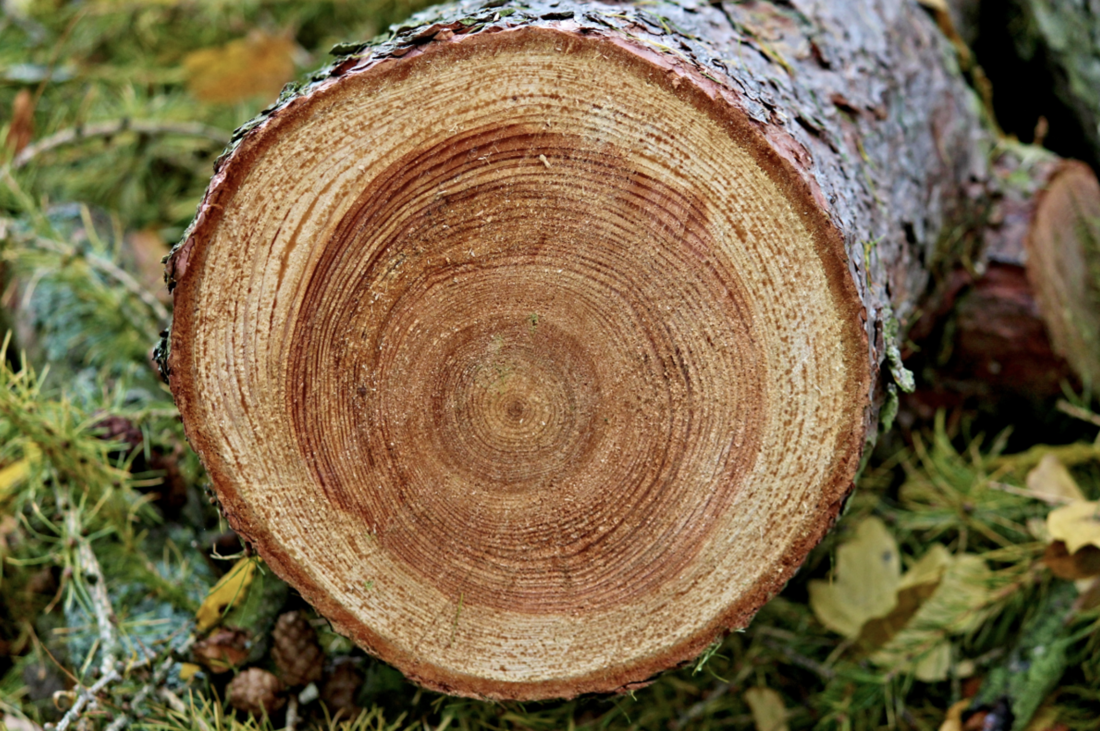 1679448895793132.png WX20230322-093441@2x.png