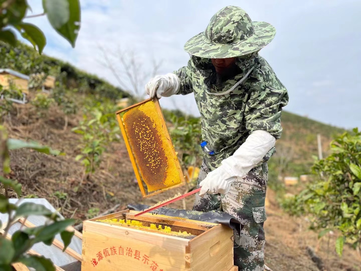 1679904201153151.jpg 4bc7bb2a6b1dee0c354ca336cd4f4d8.jpg