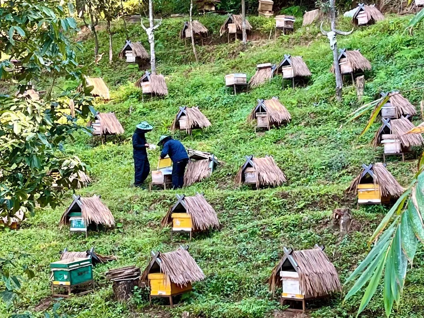 1679904345324036.jpg 977d646d3b4b9c668b51142017d2e8e.jpg