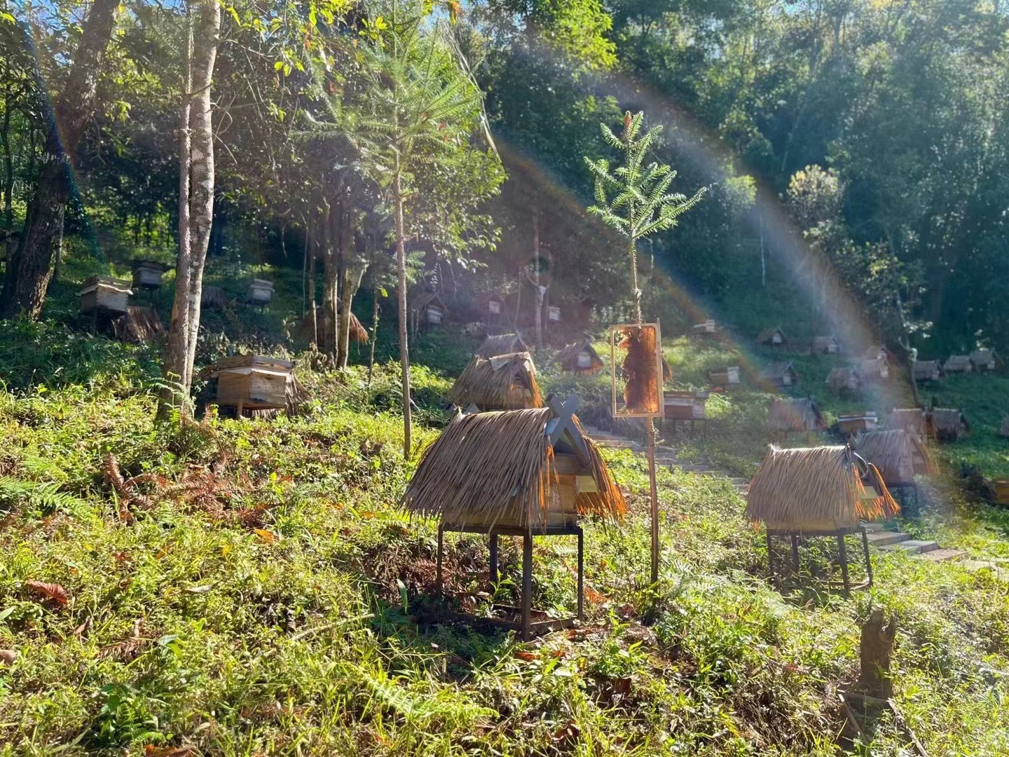 1679904363108558.jpg 6449a77e32928610c152f2c194791c4.jpg