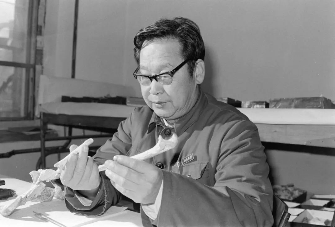 微信图片_20230328084250.jpg?x-oss-process=style/w10