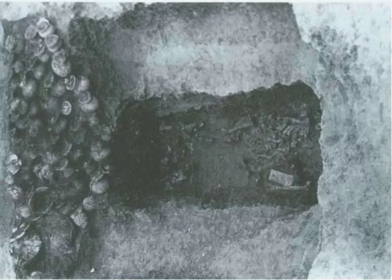 3.jpg?x-oss-process=style/w10