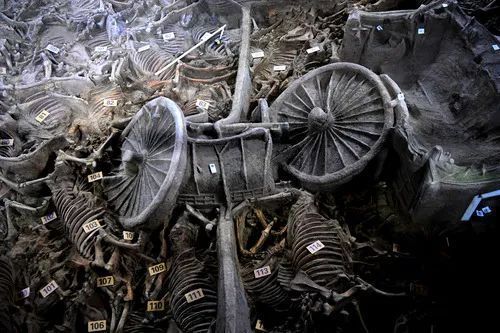 9.jpg?x-oss-process=style/w10