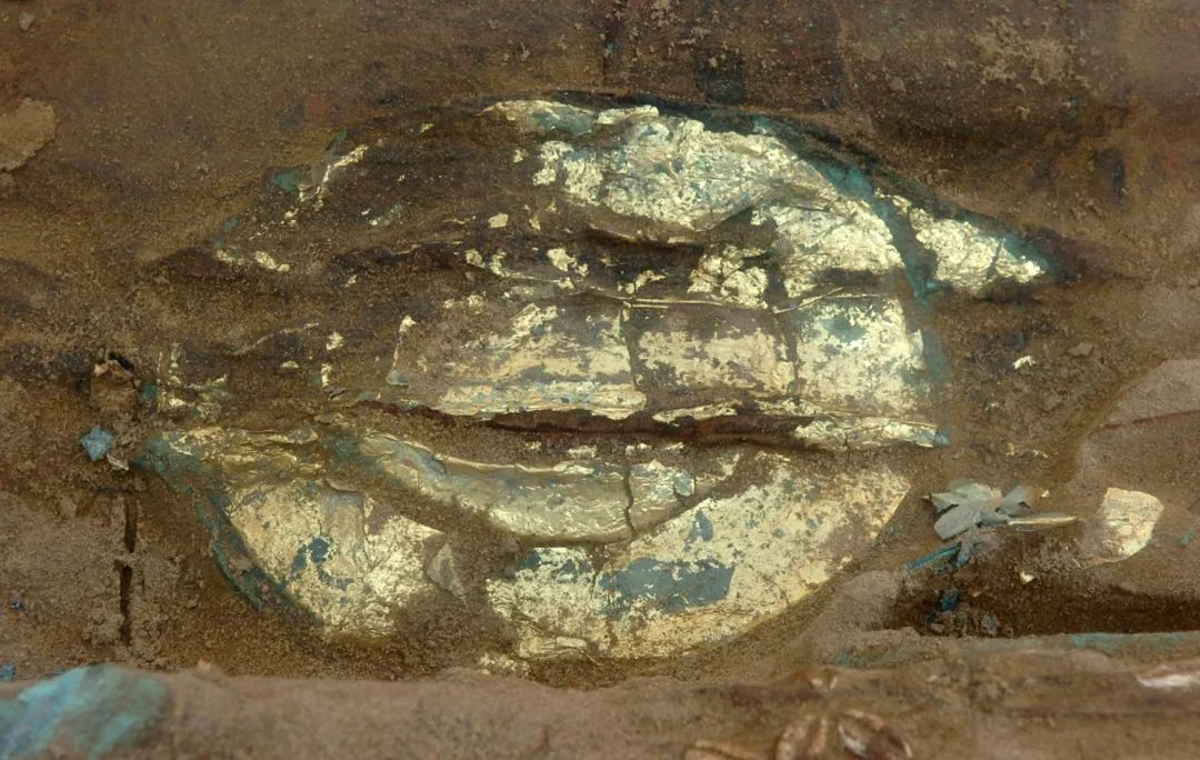 10.jpg?x-oss-process=style/w10