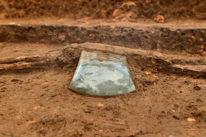 12.jpg?x-oss-process=style/w10