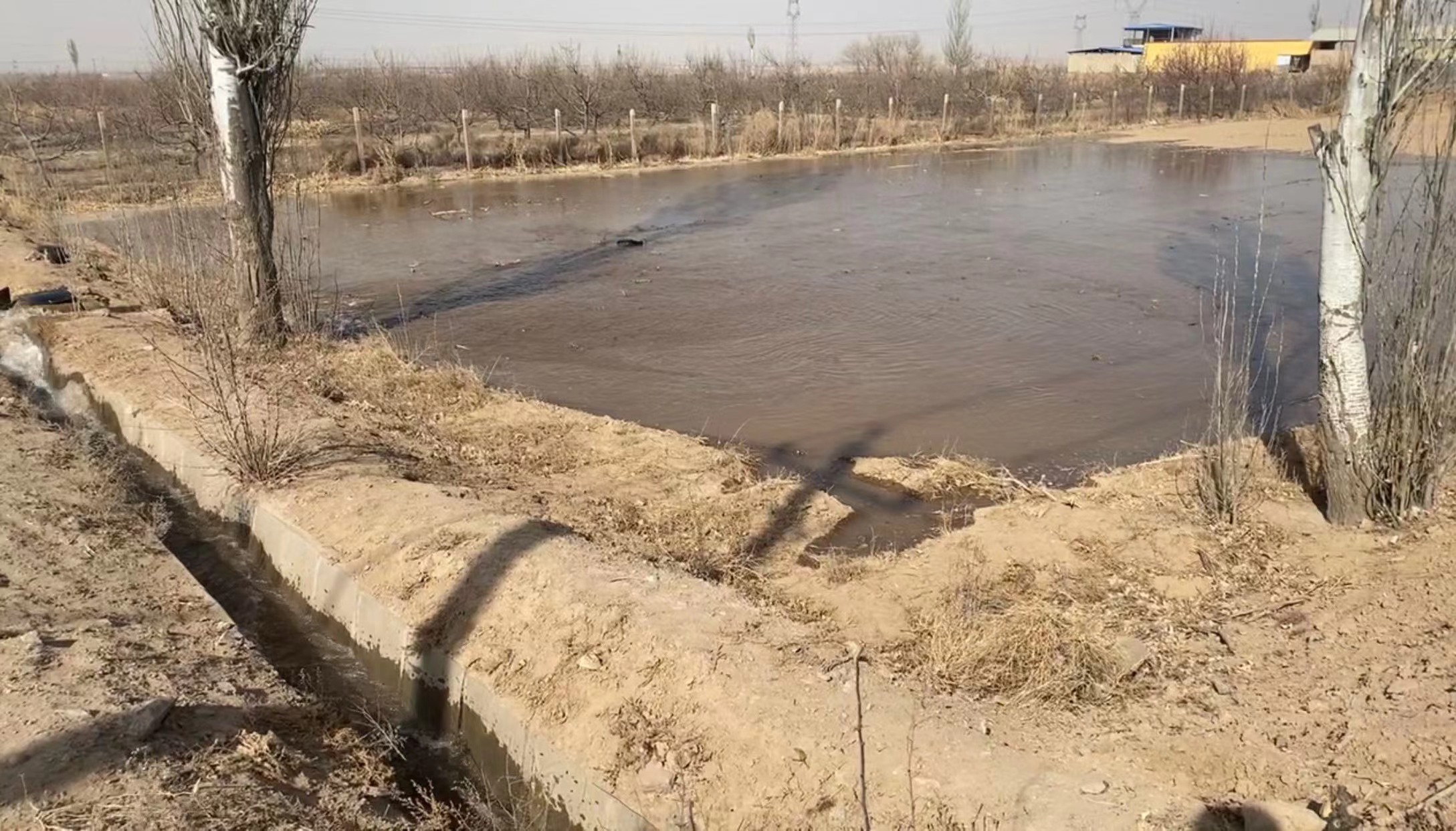 1680368760419368.jpeg WechatIMG9.jpeg