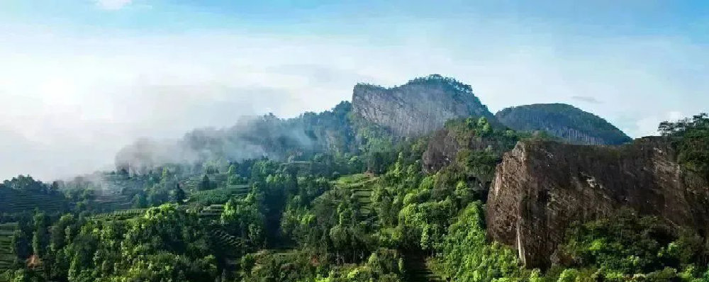 武夷山.jpg